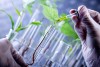 Chương trình đào tạo trình độ thạc sĩ ngành Công nghệ sinh học