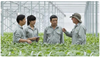 Chú trọng nguồn nhân lực làm chủ KHCN trong lĩnh vực nông nghiệp và môi trường