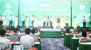 Khai mạc Festival hoa, cây cảnh tại Học viện Nông nghiệp Việt Nam