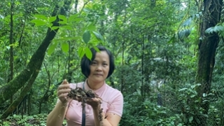 Nhân lực ngành cây trồng dược liệu trong thời đại số