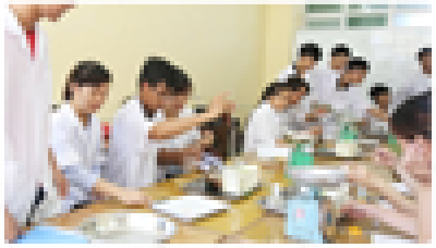Hồi sinh ngành học "hái ra tiền" trong nông nghiệp từng bị lãng quên