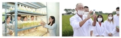 Chương trình đào tạo trình độ tiến sĩ Công nghệ sinh học: Hướng tới đào tạo nhà khoa học dẫn đầu đổi mới sáng tạo