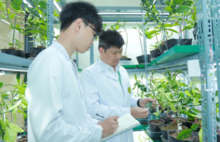 Học viện Nông nghiệp Việt Nam: Đào tạo chuyên gia 'tư duy xanh, kỹ năng số'