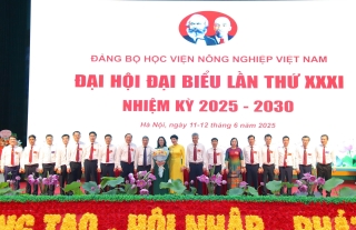 Khẳng định vị thế tiên phong trong đào tạo nguồn nhân lực chất lượng cao