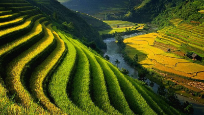 Quản trị tài nguyên đất đai - Từ di sản lịch sử, kinh nghiệm toàn cầu đến tầm nhìn đột phá trong Dự thảoLuật Đất đai 2026